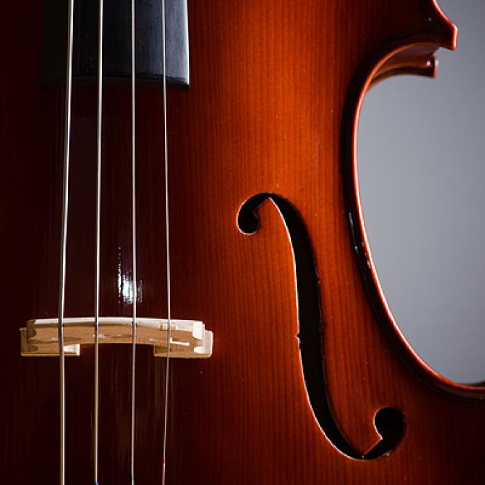 Uvod u &quot;Suzuki metodu&quot; učenja sviranja violine